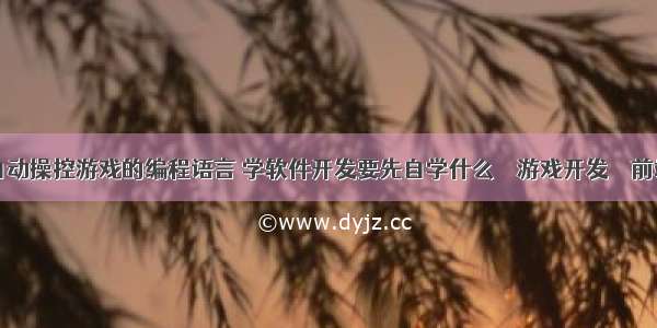 自动操控游戏的编程语言 学软件开发要先自学什么 – 游戏开发 – 前端