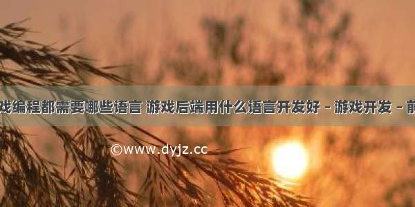 游戏编程都需要哪些语言 游戏后端用什么语言开发好 – 游戏开发 – 前端