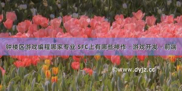 钟楼区游戏编程哪家专业 SFC上有哪些神作 – 游戏开发 – 前端