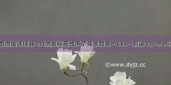 css状态伪类选择器 css伪类标签改不了背景颜色 – CSS – 前端 css media 兼容