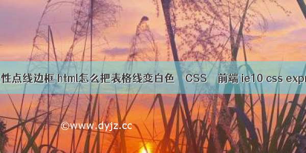 border属性点线边框 html怎么把表格线变白色 – CSS – 前端 ie10 css expression