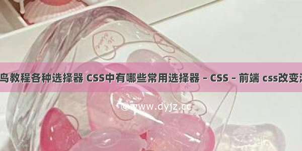 css教程菜鸟教程各种选择器 CSS中有哪些常用选择器 – CSS – 前端 css改变滚动条样式