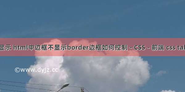 border边框怎么显示 html中边框不显示border边框如何控制 – CSS – 前端 css table 滚动条 百分比