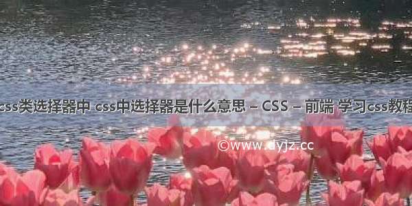 css类选择器中 css中选择器是什么意思 – CSS – 前端 学习css教程