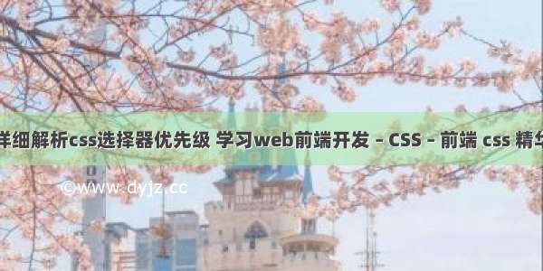 详细解析css选择器优先级 学习web前端开发 – CSS – 前端 css 精华