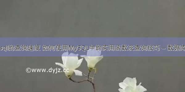 提高mysql的查询速度 如何使用MySQL中的实用函数及查询技巧 – 数据库 – 前端 