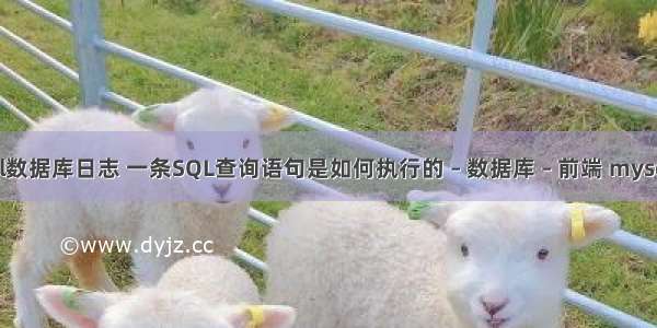 查看mysql数据库日志 一条SQL查询语句是如何执行的 – 数据库 – 前端 mysql并发连接