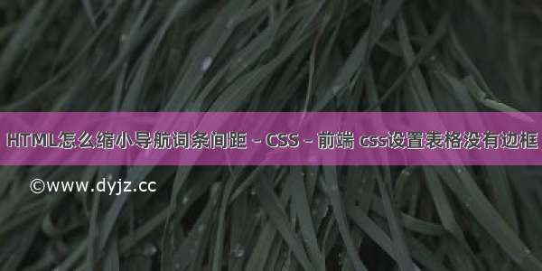 HTML怎么缩小导航词条间距 – CSS – 前端 css设置表格没有边框