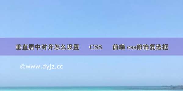 垂直居中对齐怎么设置 – CSS – 前端 css修饰复选框