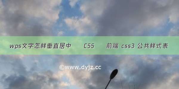 wps文字怎样垂直居中 – CSS – 前端 css3 公共样式表