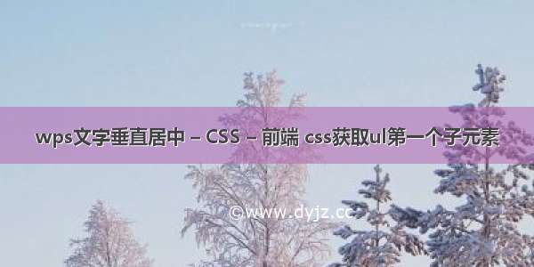 wps文字垂直居中 – CSS – 前端 css获取ul第一个子元素