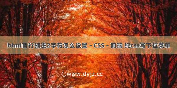 html首行缩进2字符怎么设置 – CSS – 前端 纯css写下拉菜单