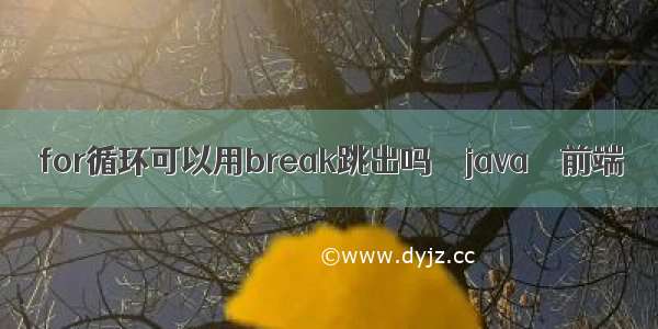 for循环可以用break跳出吗 – java – 前端