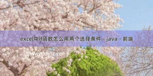 excel中if函数怎么用两个选择条件 – java – 前端