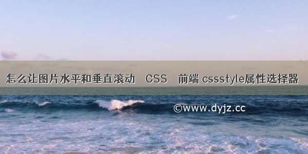 怎么让图片水平和垂直滚动 – CSS – 前端 cssstyle属性选择器