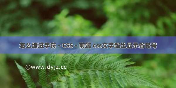 怎么缩进字符 – CSS – 前端 css文字超出显示省略号