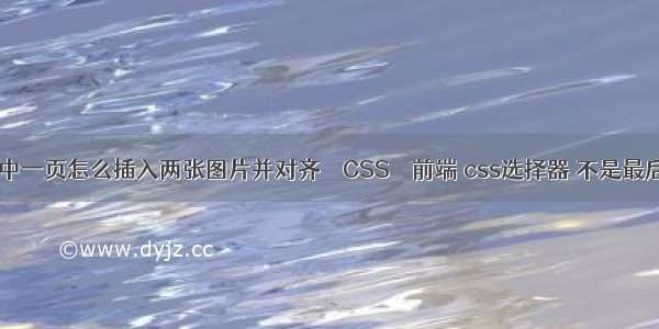 word中一页怎么插入两张图片并对齐 – CSS – 前端 css选择器 不是最后一个