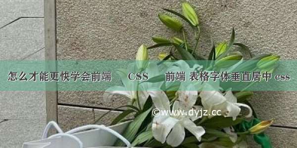 怎么才能更快学会前端 – CSS – 前端 表格字体垂直居中 css