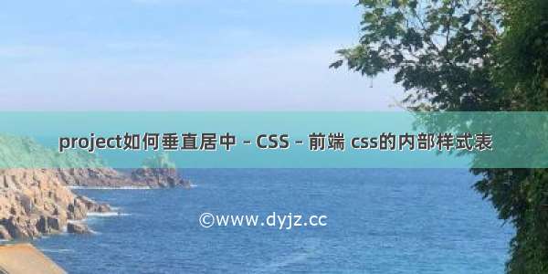 project如何垂直居中 – CSS – 前端 css的内部样式表