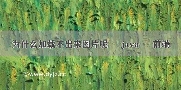 为什么加载不出来图片呢 – java – 前端