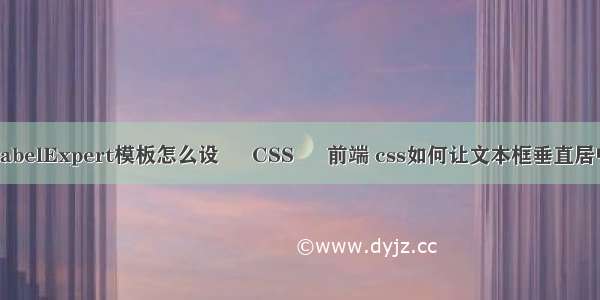 LabelExpert模板怎么设 – CSS – 前端 css如何让文本框垂直居中