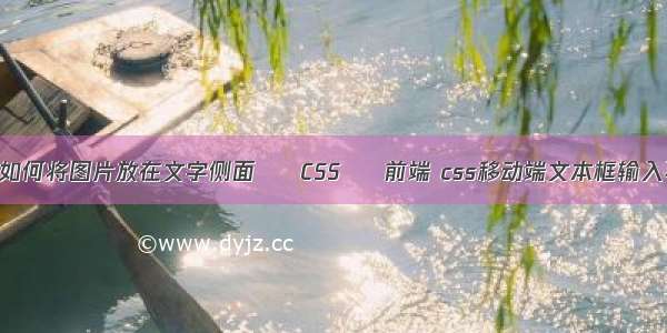 wps如何将图片放在文字侧面 – CSS – 前端 css移动端文本框输入不了