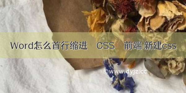 Word怎么首行缩进 – CSS – 前端 新建css