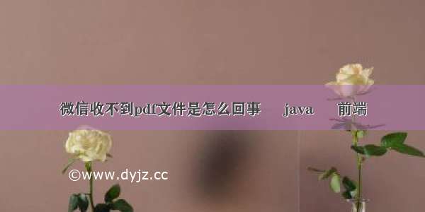 微信收不到pdf文件是怎么回事 – java – 前端