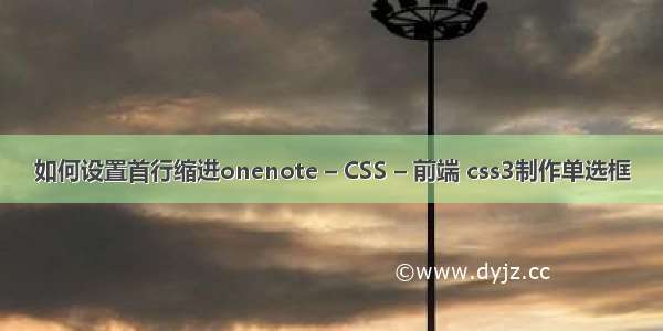 如何设置首行缩进onenote – CSS – 前端 css3制作单选框