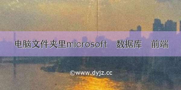 电脑文件夹里microsoft – 数据库 – 前端