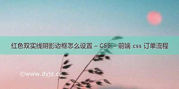 红色双实线阴影边框怎么设置 – CSS – 前端 css 订单流程