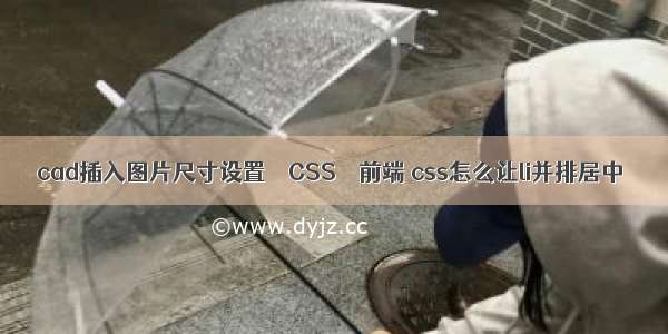 cad插入图片尺寸设置 – CSS – 前端 css怎么让li并排居中