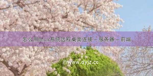 怎么用linux系统远程桌面连接 – 服务器 – 前端