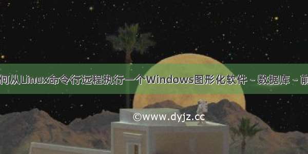 如何从Linux命令行远程执行一个Windows图形化软件 – 数据库 – 前端