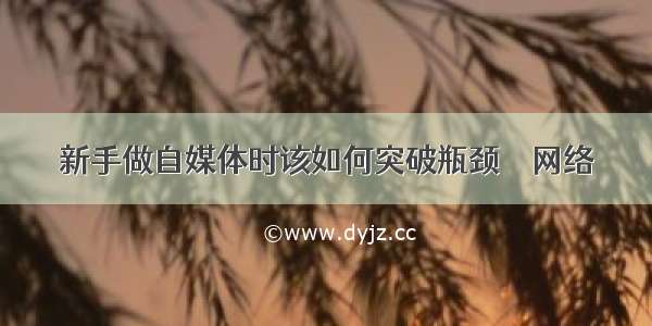 新手做自媒体时该如何突破瓶颈 – 网络