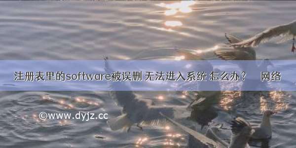 注册表里的software被误删 无法进入系统 怎么办？ – 网络