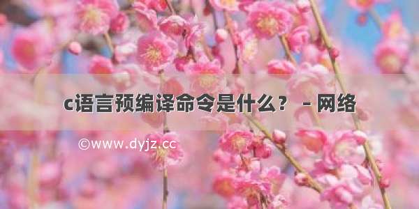 c语言预编译命令是什么？ – 网络