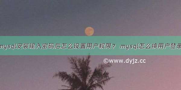 mysql安装输入密码后怎么设置用户权限？ mysql怎么换用户登录