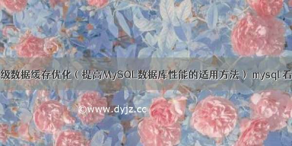 MySQL百万级数据缓存优化（提高MySQL数据库性能的适用方法） mysql 看有哪些索引