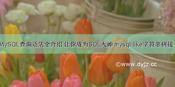 MySQL查询语法全介绍 让你成为SQL大神 mysql like字符串拼接