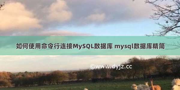 如何使用命令行连接MySQL数据库 mysql数据库精简