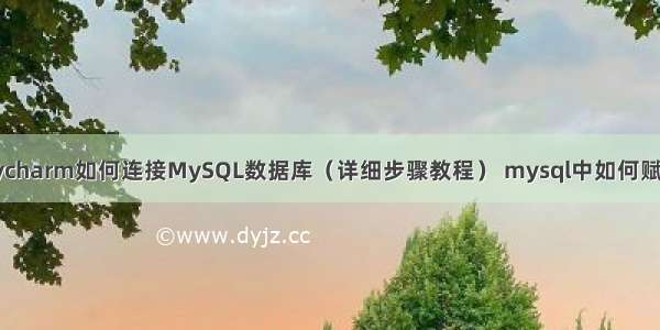 Pycharm如何连接MySQL数据库（详细步骤教程） mysql中如何赋权