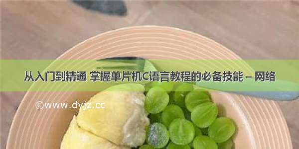 从入门到精通 掌握单片机C语言教程的必备技能 – 网络