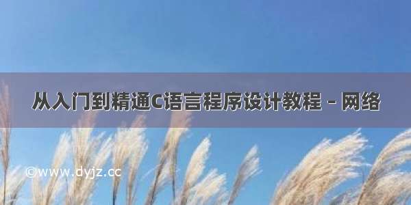 从入门到精通C语言程序设计教程 – 网络