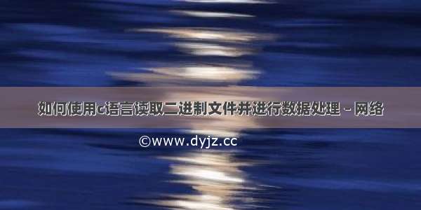 如何使用c语言读取二进制文件并进行数据处理 – 网络