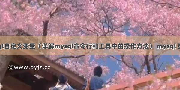 如何查看mysql自定义变量（详解mysql命令行和工具中的操作方法） mysql 显示那些数据库