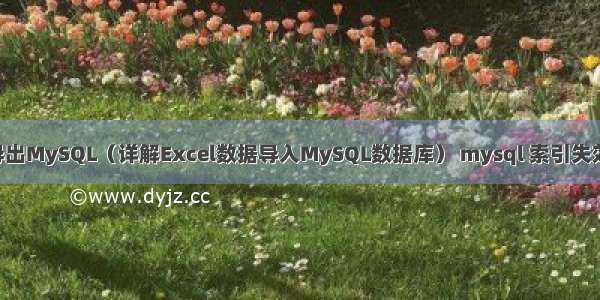 Excel导出MySQL（详解Excel数据导入MySQL数据库） mysql 索引失效的场景