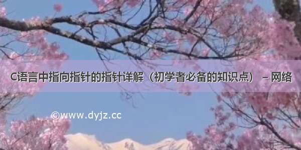 C语言中指向指针的指针详解（初学者必备的知识点） – 网络