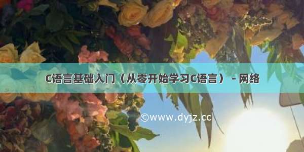 C语言基础入门（从零开始学习C语言） – 网络