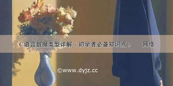 C语言数据类型详解（初学者必备知识点） – 网络